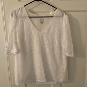 Top, flattering with Capri pants